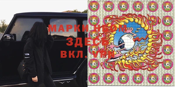 хмурый Вяземский